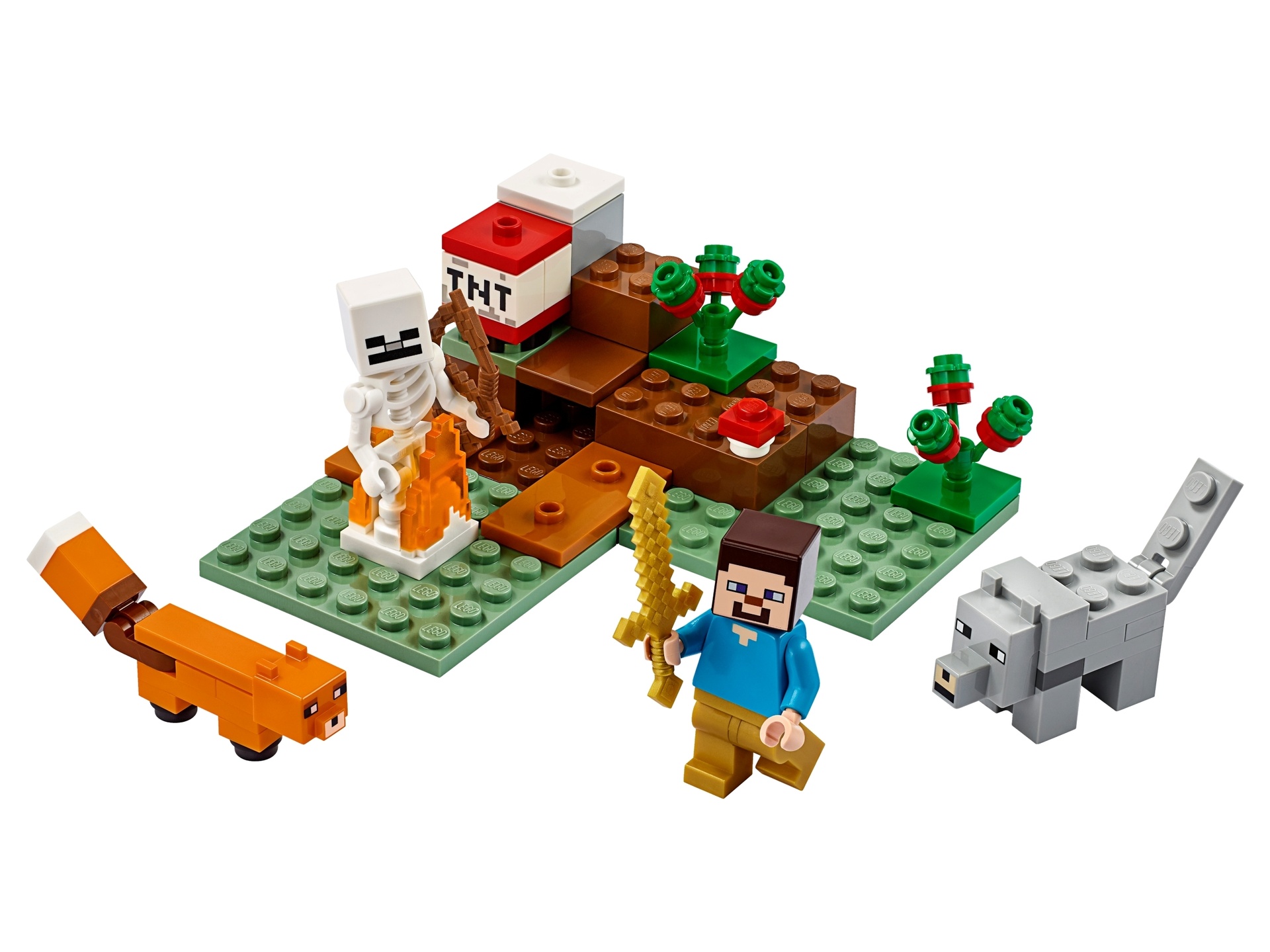 foto van lego set21162