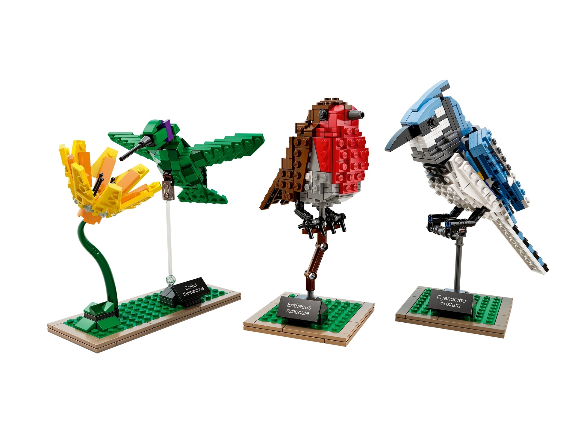 foto van lego set21301